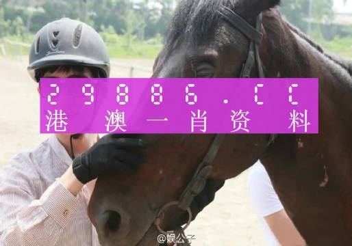 澳门今晚必中一肖一码今晚澳门,立即解答解释落实_运动版9.42.67