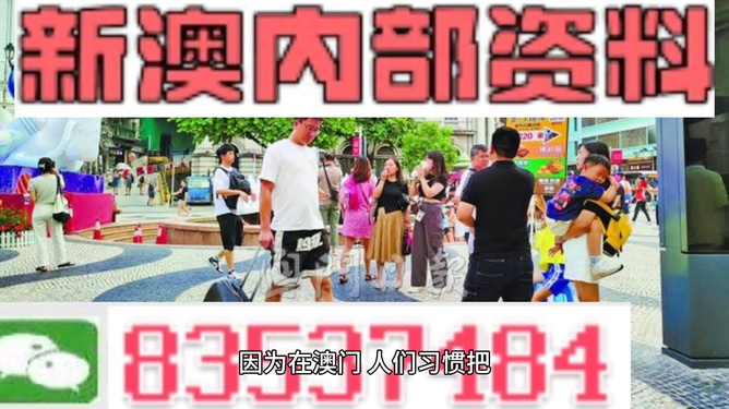 2024新澳正版免费资料大全，新澳2024年资料免费大全,精确解答解释落实_实况版63.2.55