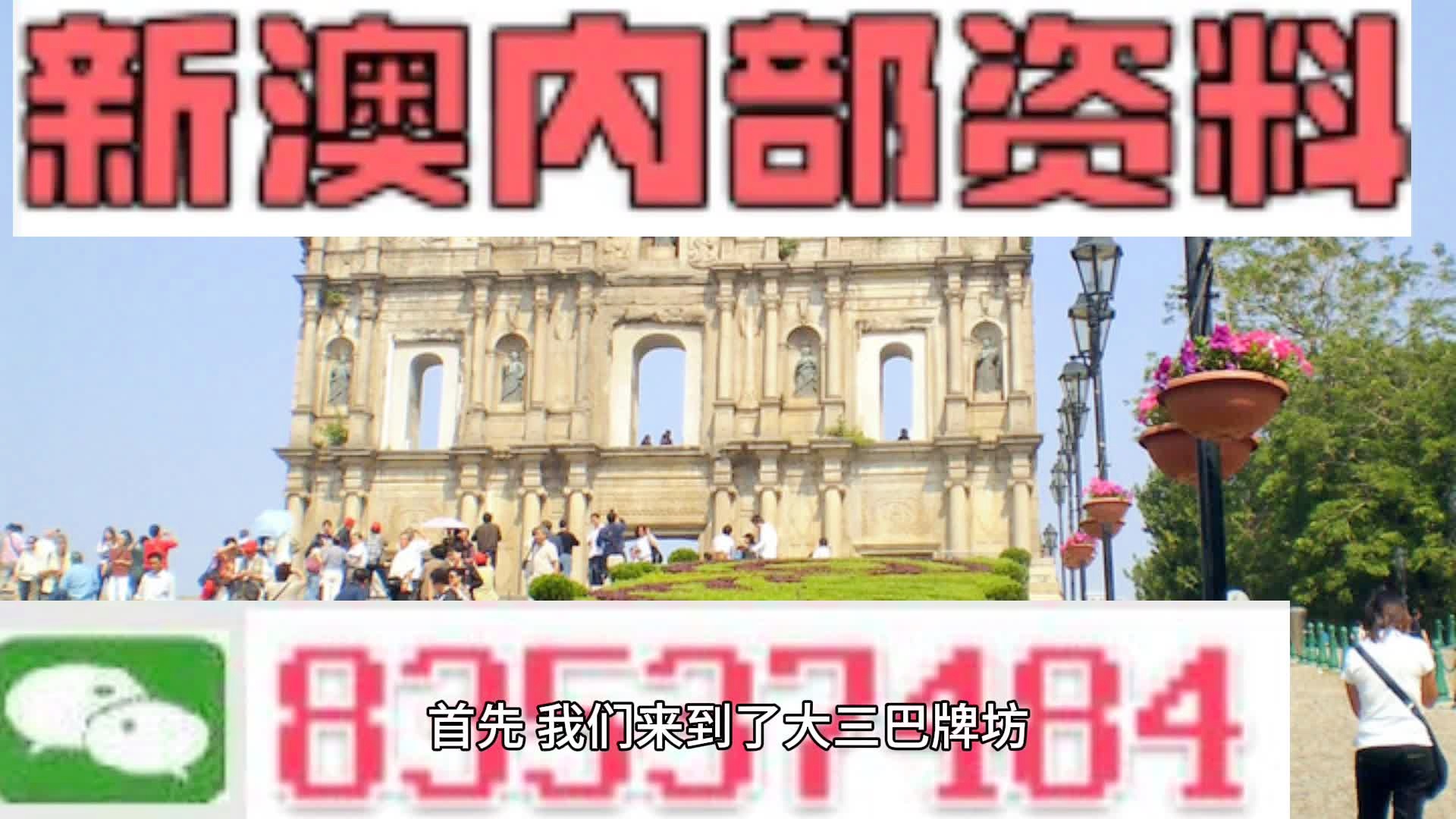 新澳门精准一肖一码准确公开,逐步解答解释落实_弹性版95.22.37