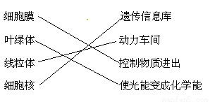 2024今晚澳门开特马,性状解答解释落实_便携版98.54.65