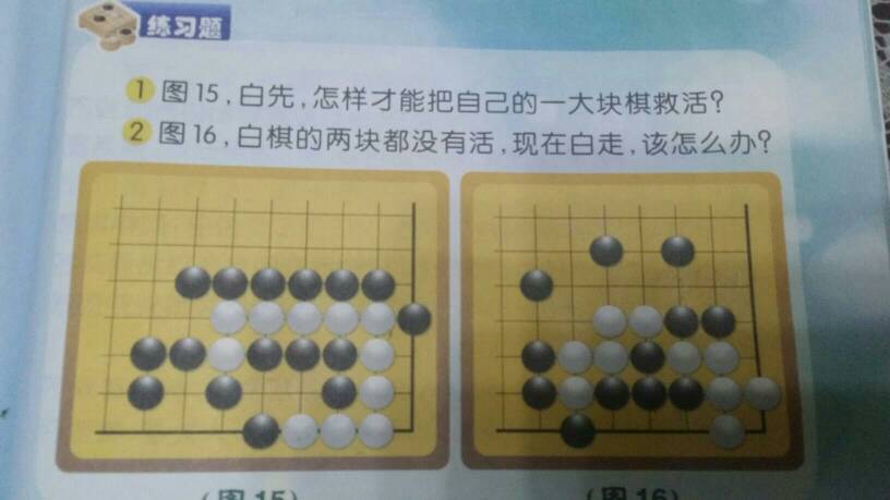 2024新澳兔费资料琴棋,效果解答解释落实_水晶版0.46.77