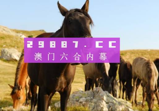 澳门今晚开正版四不像,牢靠解答解释落实_手游版78.28.96